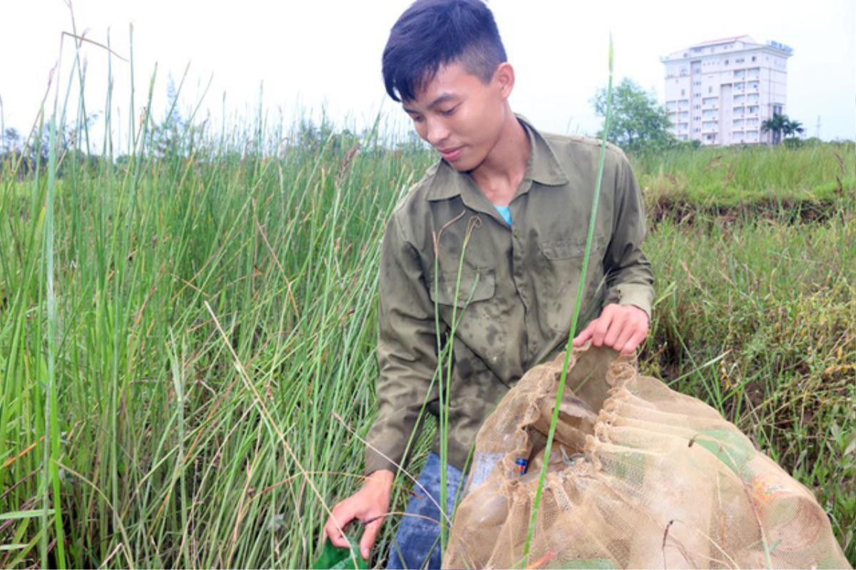 Cậu học trò thiếu cha, vắng mẹ đỗ ĐH Bách khoa HN nhưng không có tiền nhập học Ảnh 5