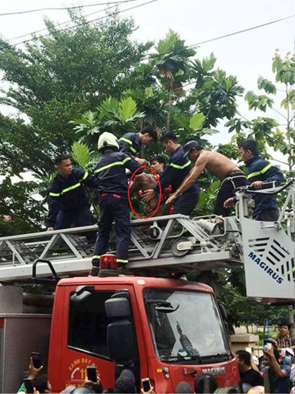 Nam thanh niên nghi 'ngáo đá', trèo lên nóc nhà la hét chỉ thẳng tay lên trời Ảnh 2