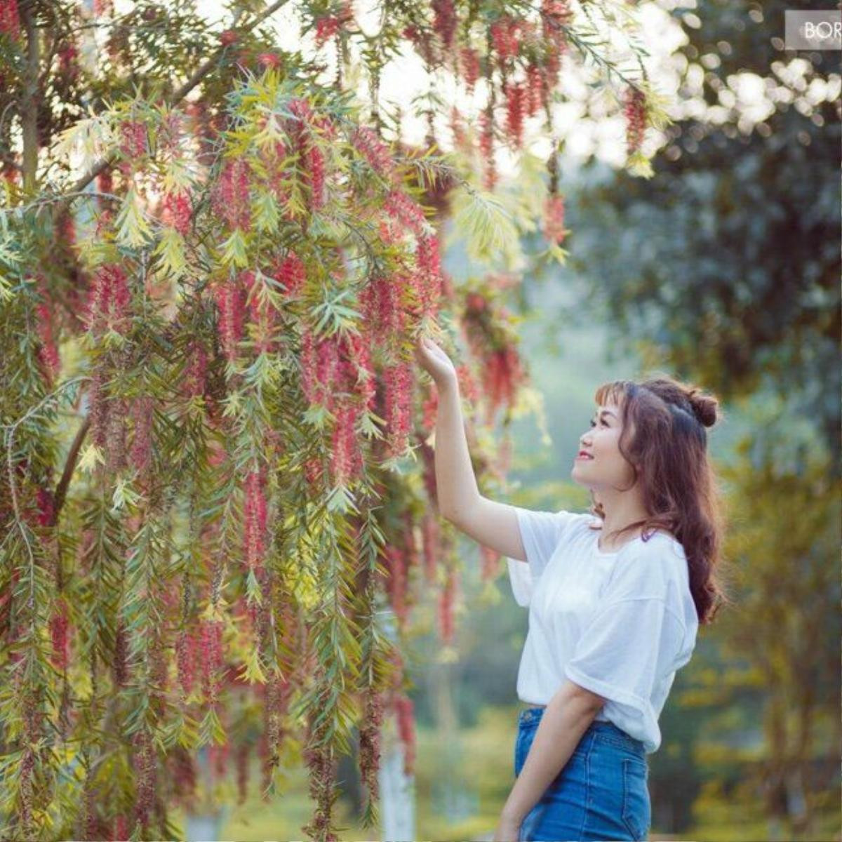 Đến ngay trường ĐH có khung cảnh đẹp tựa Châu Âu giữa lòng Hà Nội để chụp ngay album 1.000 kiểu ảnh sống ảo Ảnh 13