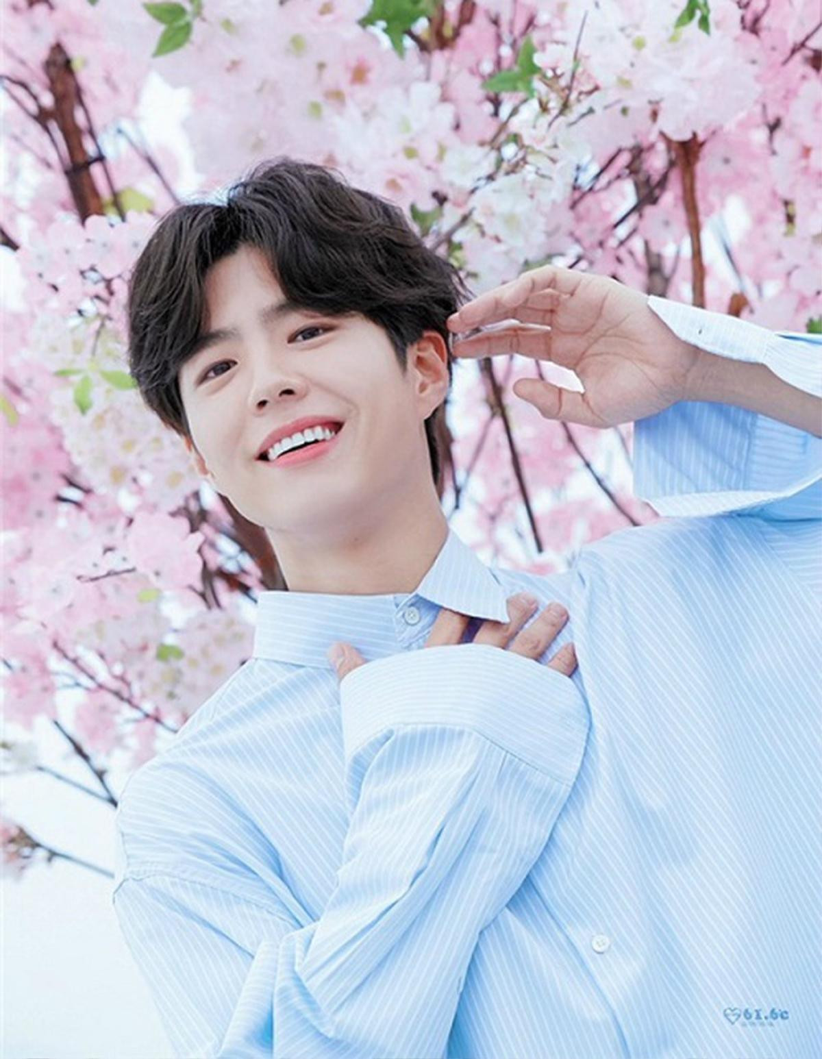 Phim 'Boyfriend' của cặp chị em lệch 12 tuổi Song Hye Kyo - Park Bo Gum có gì khiến fan 'phát sốt' đến vậy? Ảnh 4