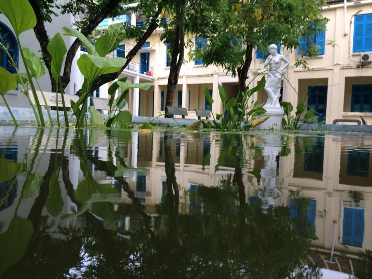 Có nơi nào 'ngầu' như trường ĐH này: Quanh năm hoa khoe sắc, sinh viên tha hồ ngắm vịnh Nha Trang xinh đẹp Ảnh 9