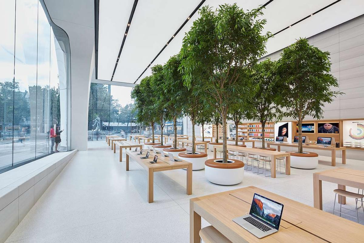 Bí mật khiến ai cũng phải bất ngờ về những chiếc bàn gỗ trong tất cả cửa hàng Apple Store Ảnh 2