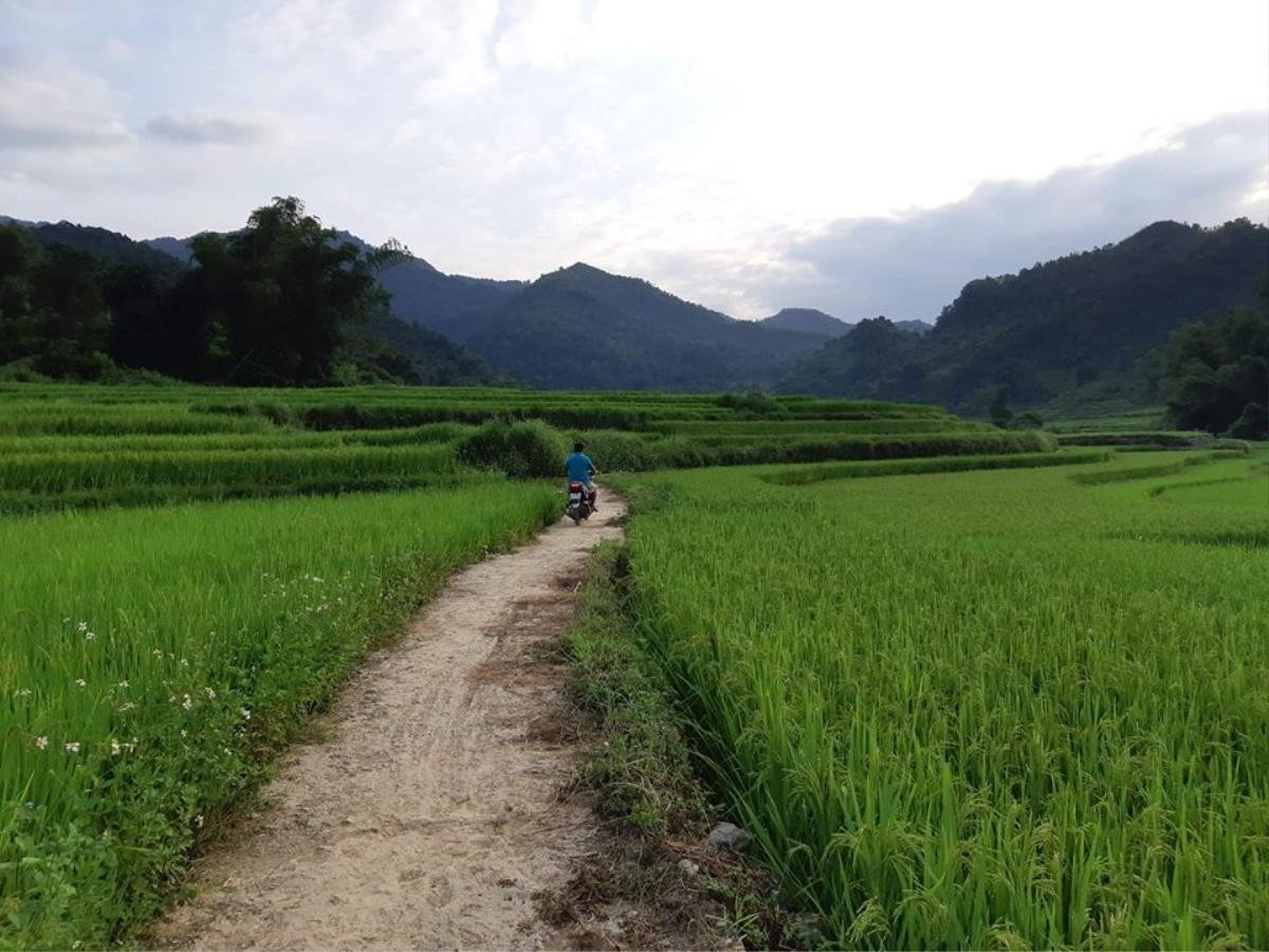 Mẹ bác sĩ bóp cổ vợ tử vong, chở xác đi phi tang: 'Xảy ra việc như vậy, cuộc đời Hải coi như chấm hết' Ảnh 2