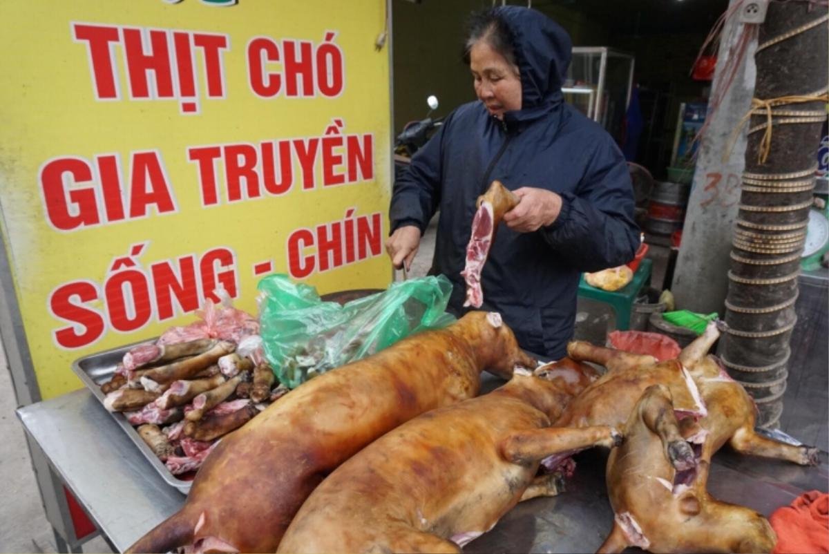 Giáo sư Trần Lâm Biền: 'Hạn chế giết thịt chó để phòng bệnh dại thì đúng nhưng nói ăn thịt chó gây phản cảm là sai' Ảnh 1