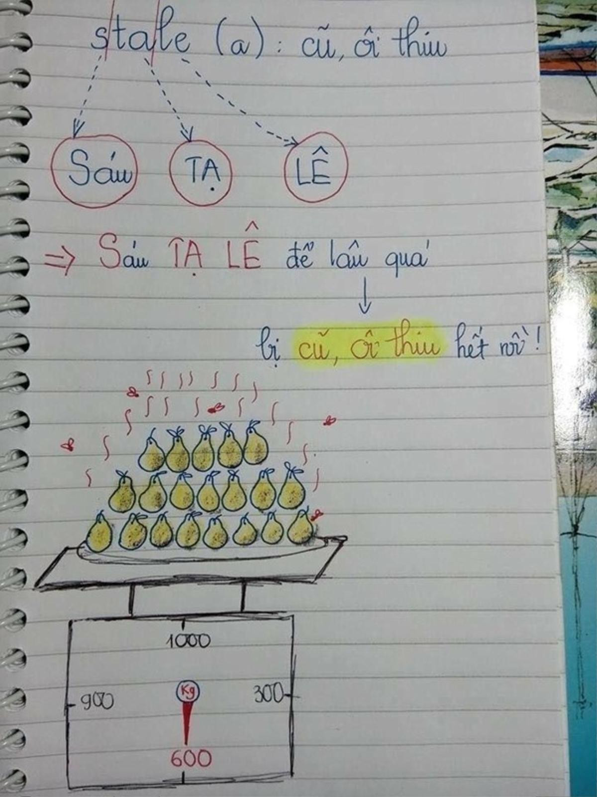 'Bóc mẽ' những tuyệt chiêu học bài và ghi nhớ sáng tạo có 1-0-2 được giới trẻ truyền nhau Ảnh 4