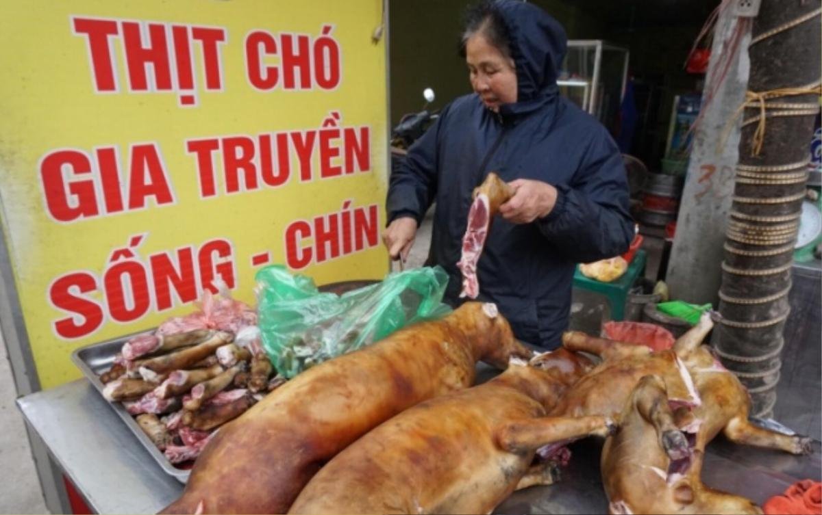 Ngôi làng ở Hà Nội ăn 4 tấn thịt chó trong ngày Tết: ‘Việc bỏ tục lệ ăn thịt chó ở đây là rất khó’ Ảnh 4