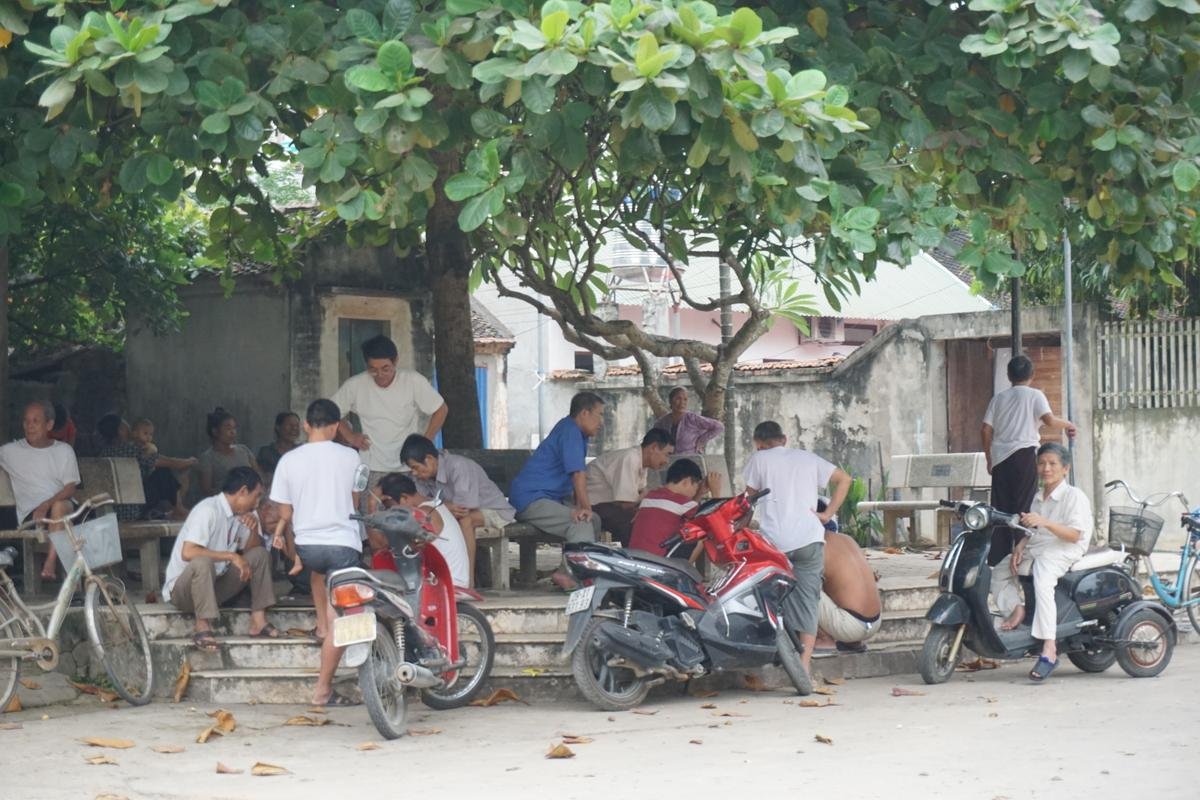 Ngôi làng ở Hà Nội ăn 4 tấn thịt chó trong ngày Tết: ‘Việc bỏ tục lệ ăn thịt chó ở đây là rất khó’ Ảnh 2