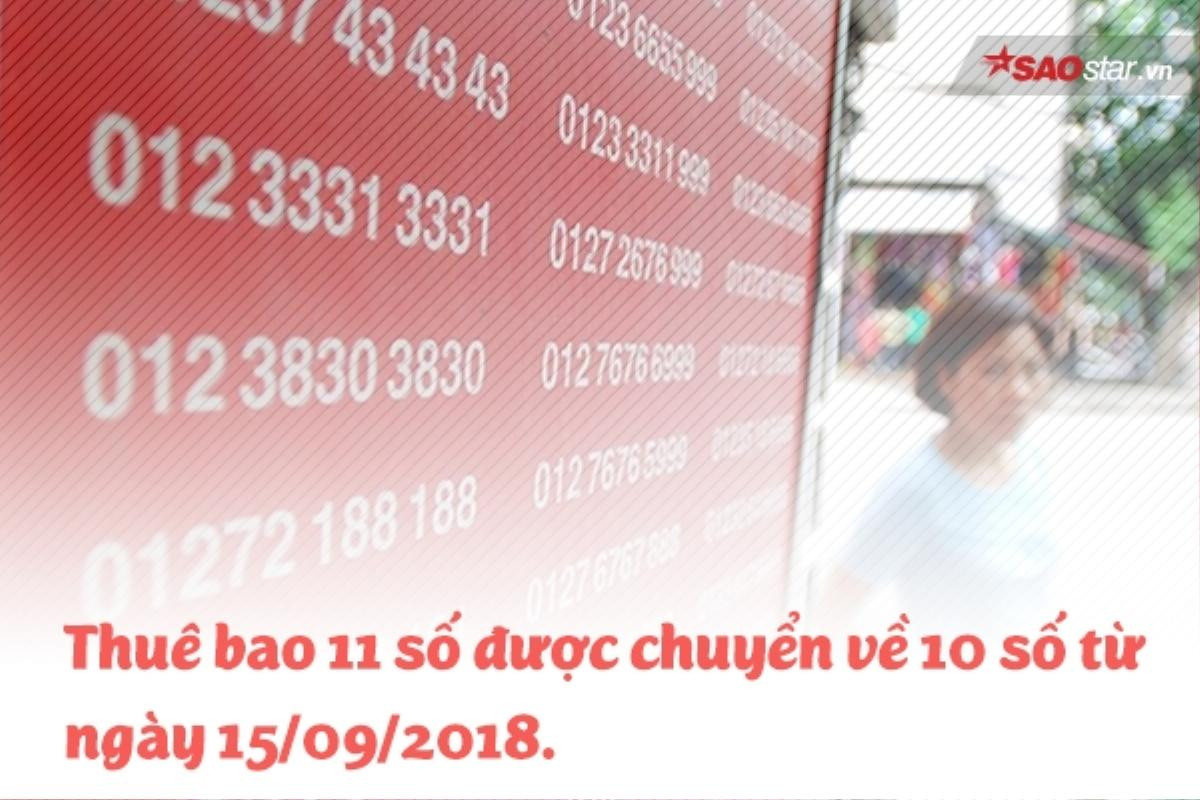 Sang ngày 15/09, vì sao thuê bao 11 số của tôi vẫn chưa được chuyển đổi về 10 số? Ảnh 1