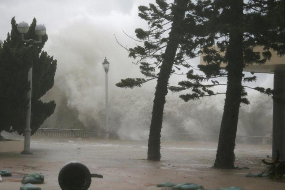 Viện phó lý giải siêu bão Mangkhut không vào Việt Nam Ảnh 1