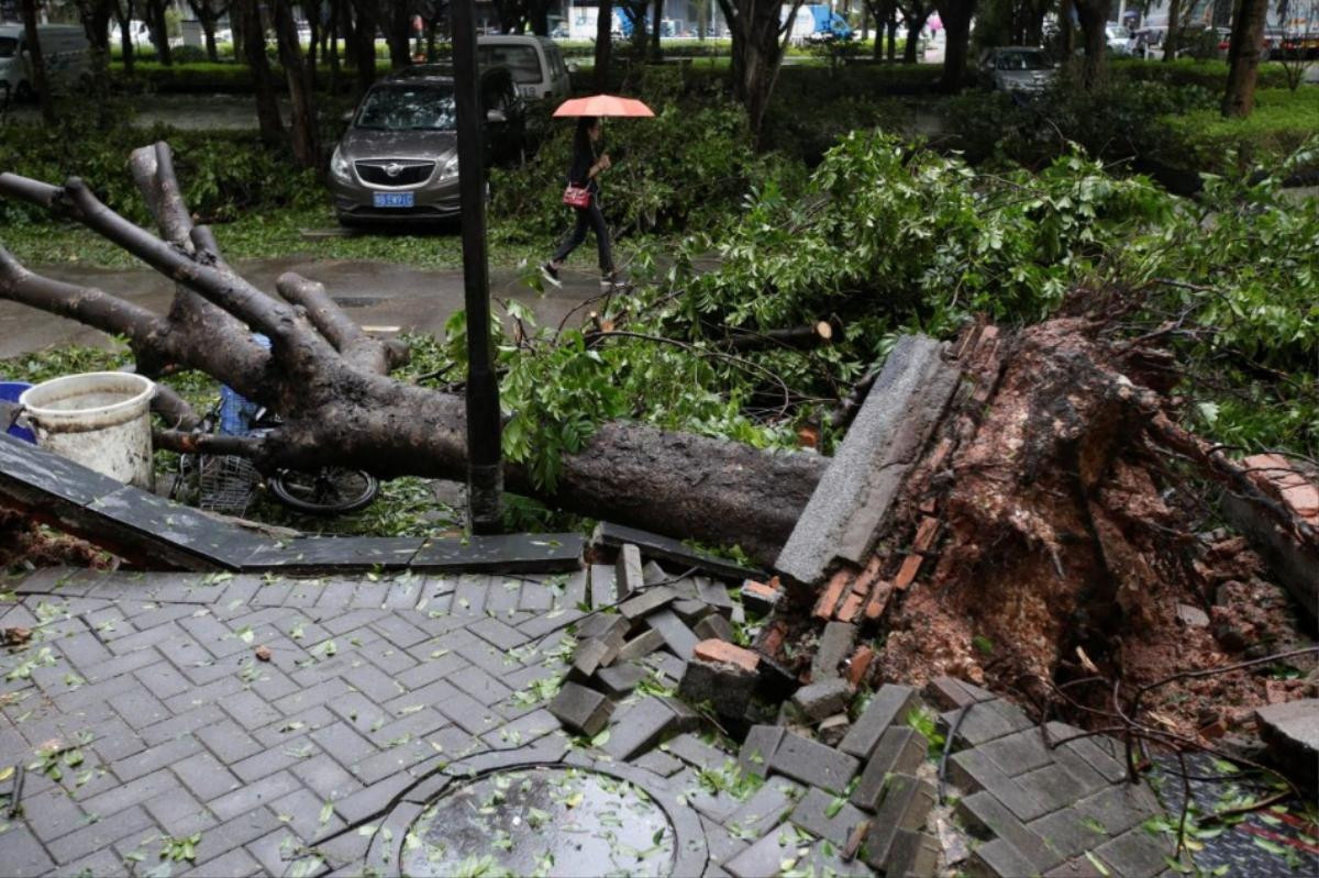 Hong Kong, Trung Quốc tan hoang do Mangkhut, bắt đầu khắc phục sau bão Ảnh 1