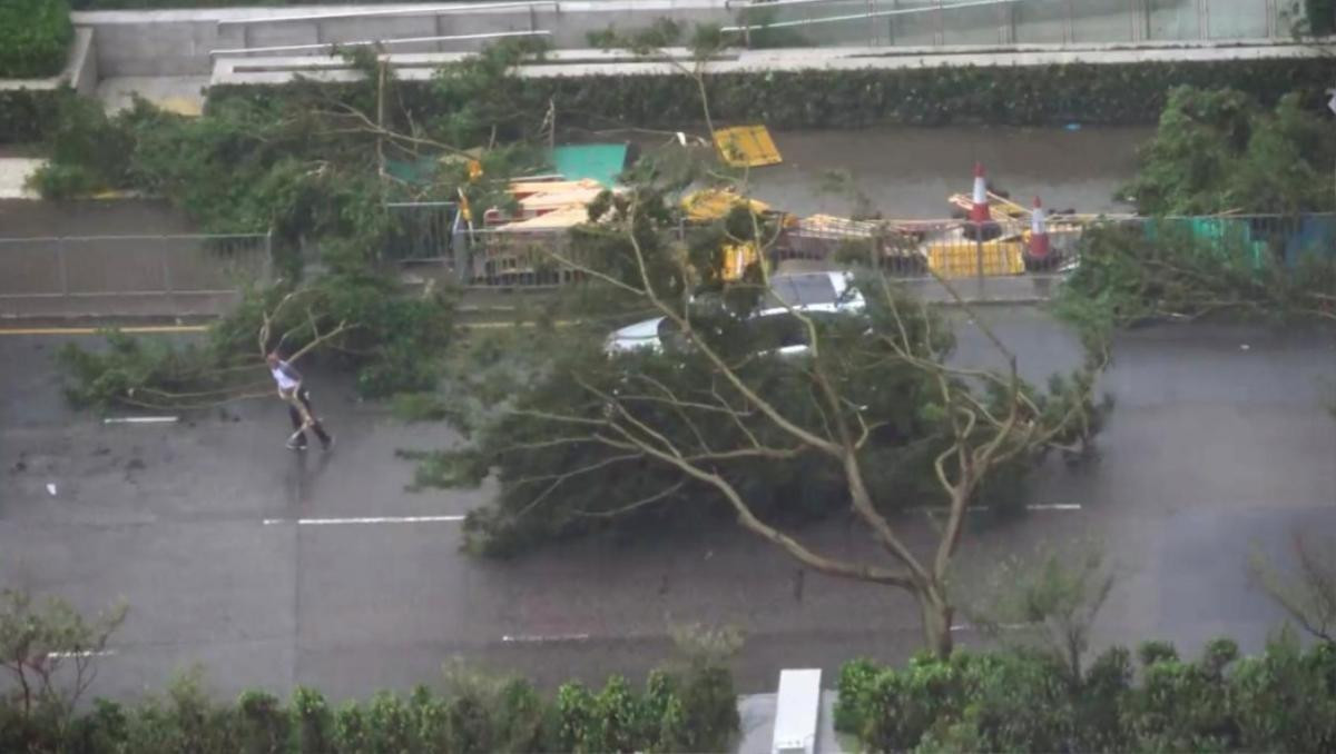 Hong Kong, Trung Quốc tan hoang do Mangkhut, bắt đầu khắc phục sau bão Ảnh 2