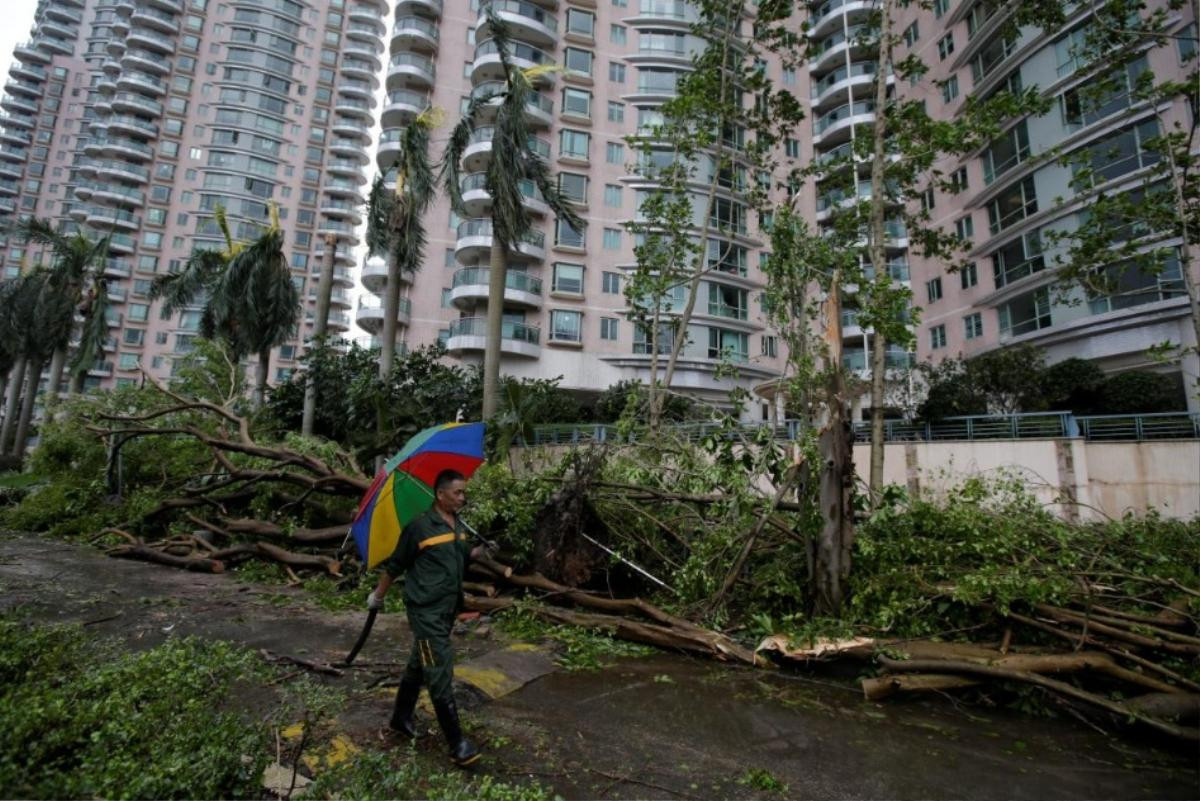 Hong Kong, Trung Quốc tan hoang do Mangkhut, bắt đầu khắc phục sau bão Ảnh 3