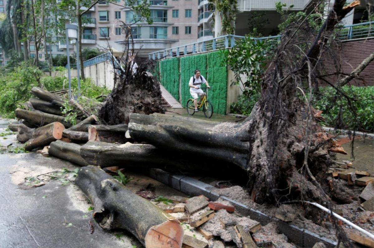 Hong Kong, Trung Quốc tan hoang do Mangkhut, bắt đầu khắc phục sau bão Ảnh 7