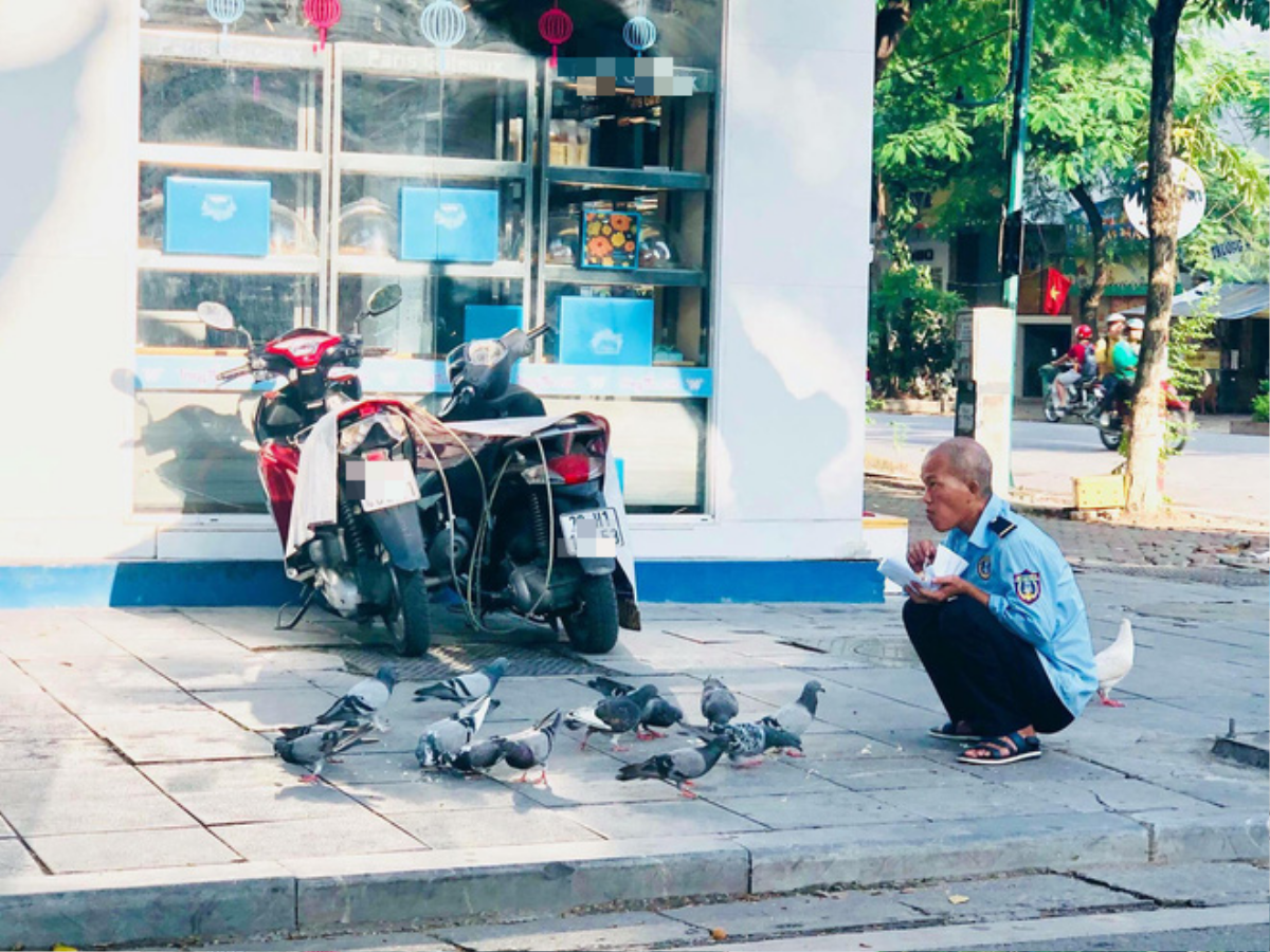 Xúc động với hình ảnh chú bảo vệ chia đồ ăn cho đàn chim bồ câu ở vỉa hè Hà Nội Ảnh 1