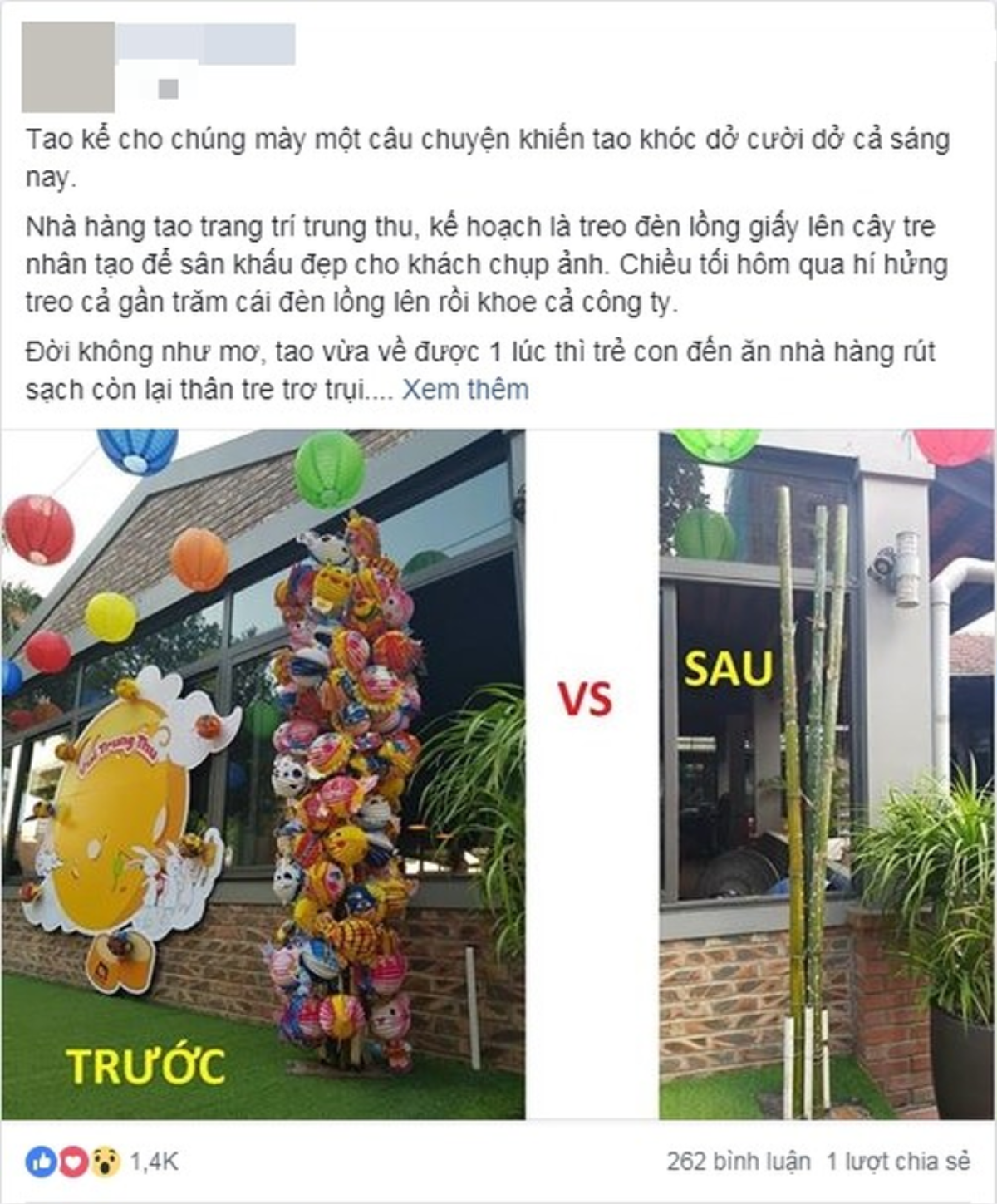 'Dành cả thanh xuân' treo đèn lồng, cô gái chết đứng khi thấy lũ trẻ 'vặt sạch' hết thành quả lao động Ảnh 1