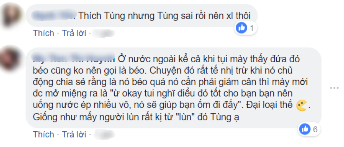 Fans quốc tế 'chỉ trích' dữ dội Sơn Tùng M-TP chỉ vì một câu nói đùa 'body shame' người béo Ảnh 3