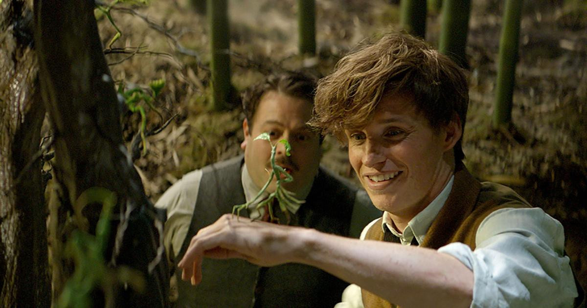 'Fantastic Beasts 2': Groot từ dãy ngân hà bay thẳng vào vũ trụ Harry Potter?! Ảnh 6