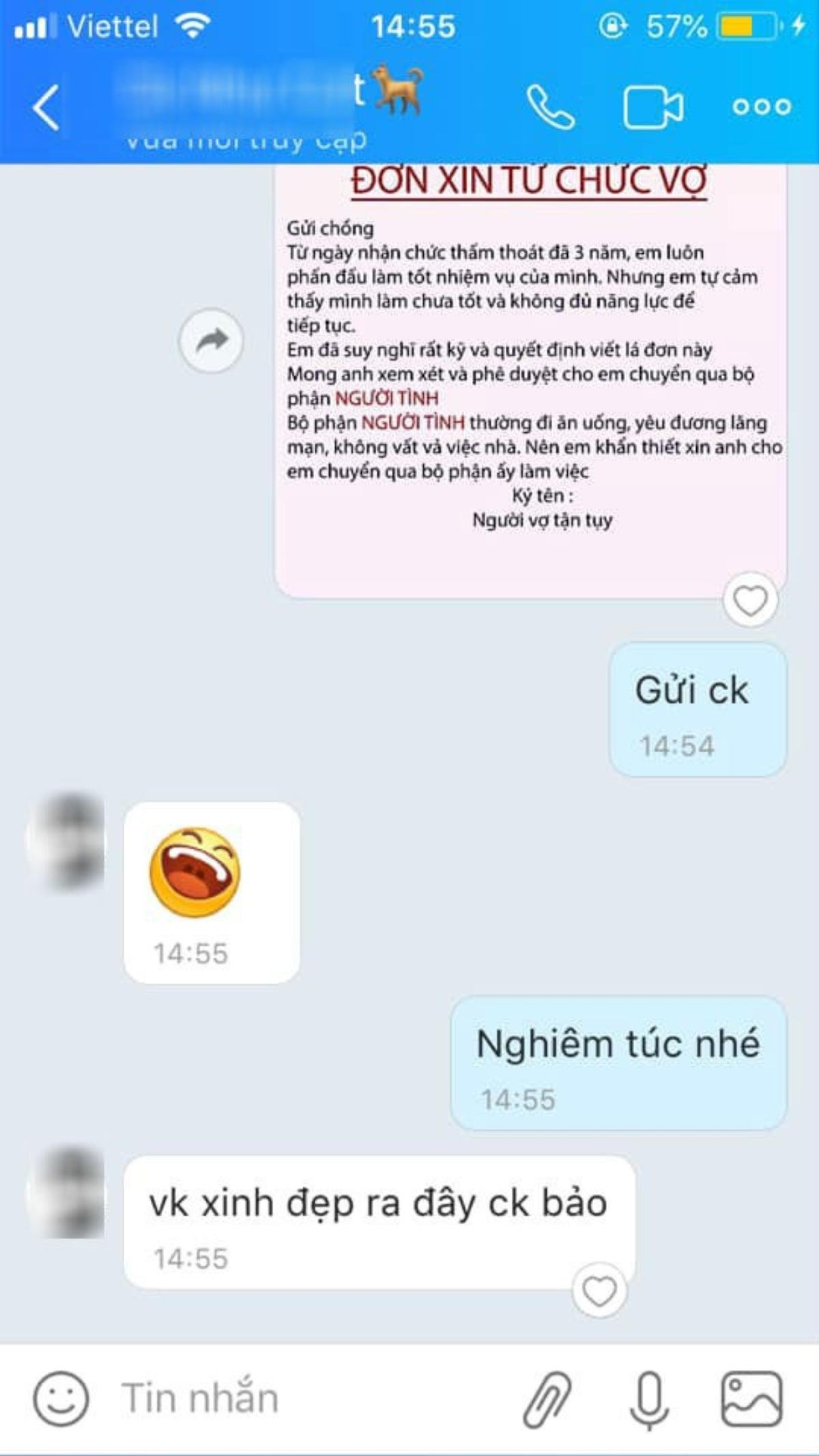 Rộ trào lưu nhắn tin 'xin từ chức vợ chuyển sang bộ phận người tình' để thử chồng của hội chị em Ảnh 11