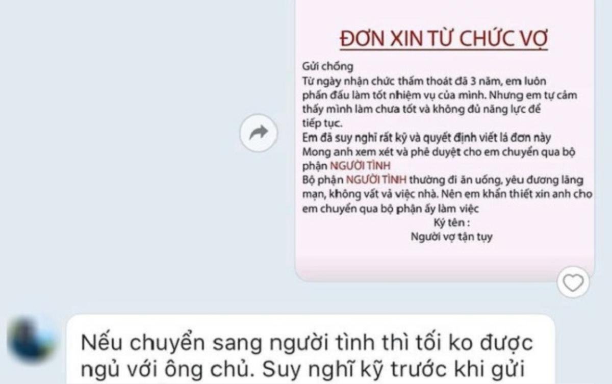 Rộ trào lưu nhắn tin 'xin từ chức vợ chuyển sang bộ phận người tình' để thử chồng của hội chị em Ảnh 6