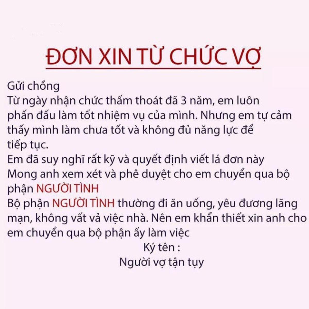 Rộ trào lưu nhắn tin 'xin từ chức vợ chuyển sang bộ phận người tình' để thử chồng của hội chị em Ảnh 1