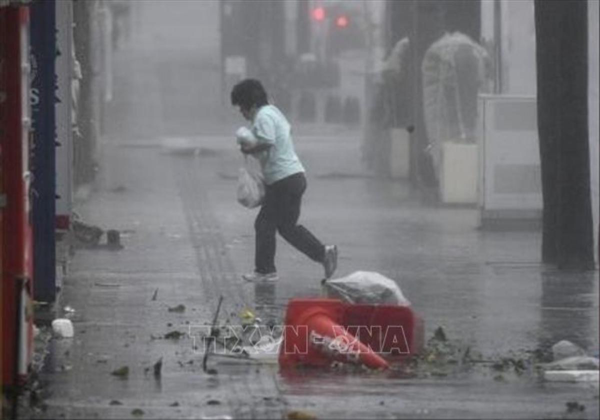 Sức gió mạnh kỷ lục, bão Trami 'càn quét', gây thiệt hại lớn ở Tokyo, Nhật Bản Ảnh 1