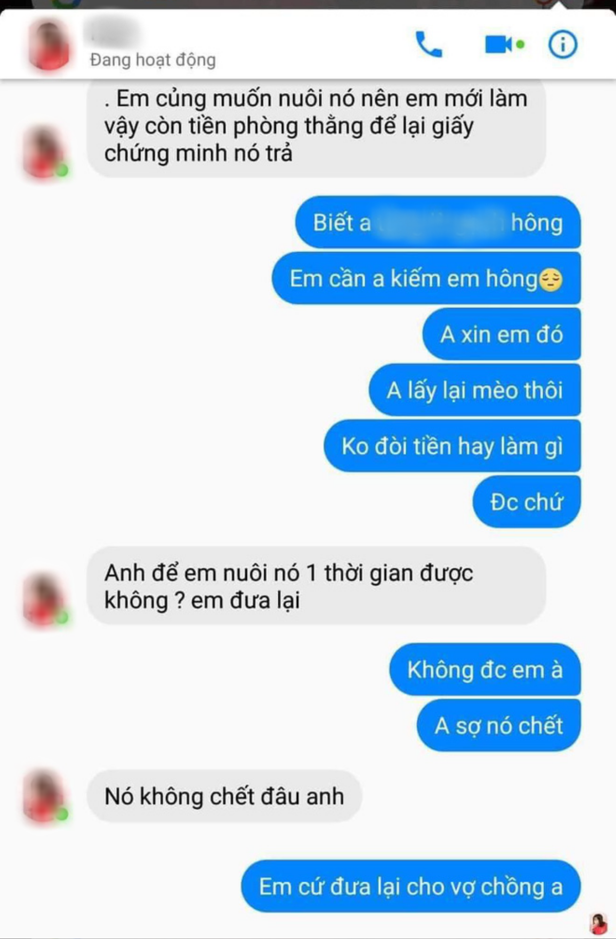 Cặp đôi vào khách sạn quỵt tiền phòng còn bế trộm mèo: Gia chủ tìm được facebook nhưng cô gái biện lý do 'em vẫn muốn nuôi' Ảnh 2