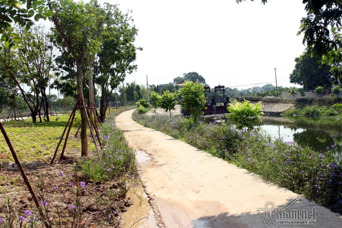 Quê nhà chuẩn bị lễ Quốc tang nguyên Tổng bí thư Đỗ Mười Ảnh 11