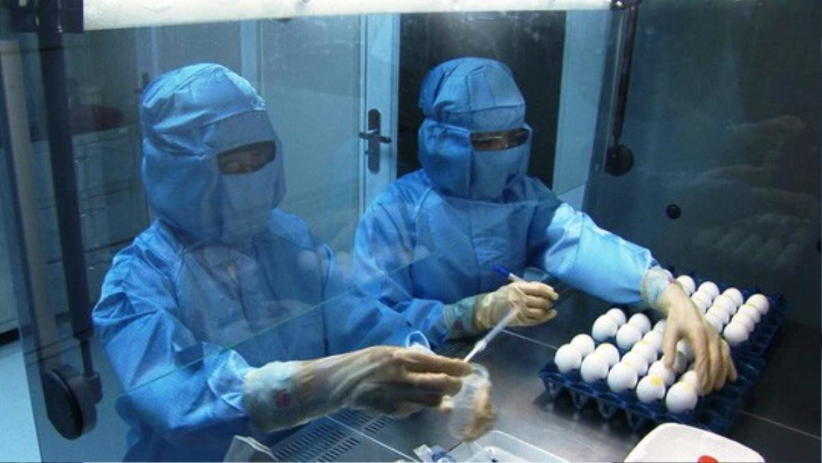 Cận cảnh quá trình điều chế vắc-xin phòng H5N1 'made in Việt Nam' Ảnh 5