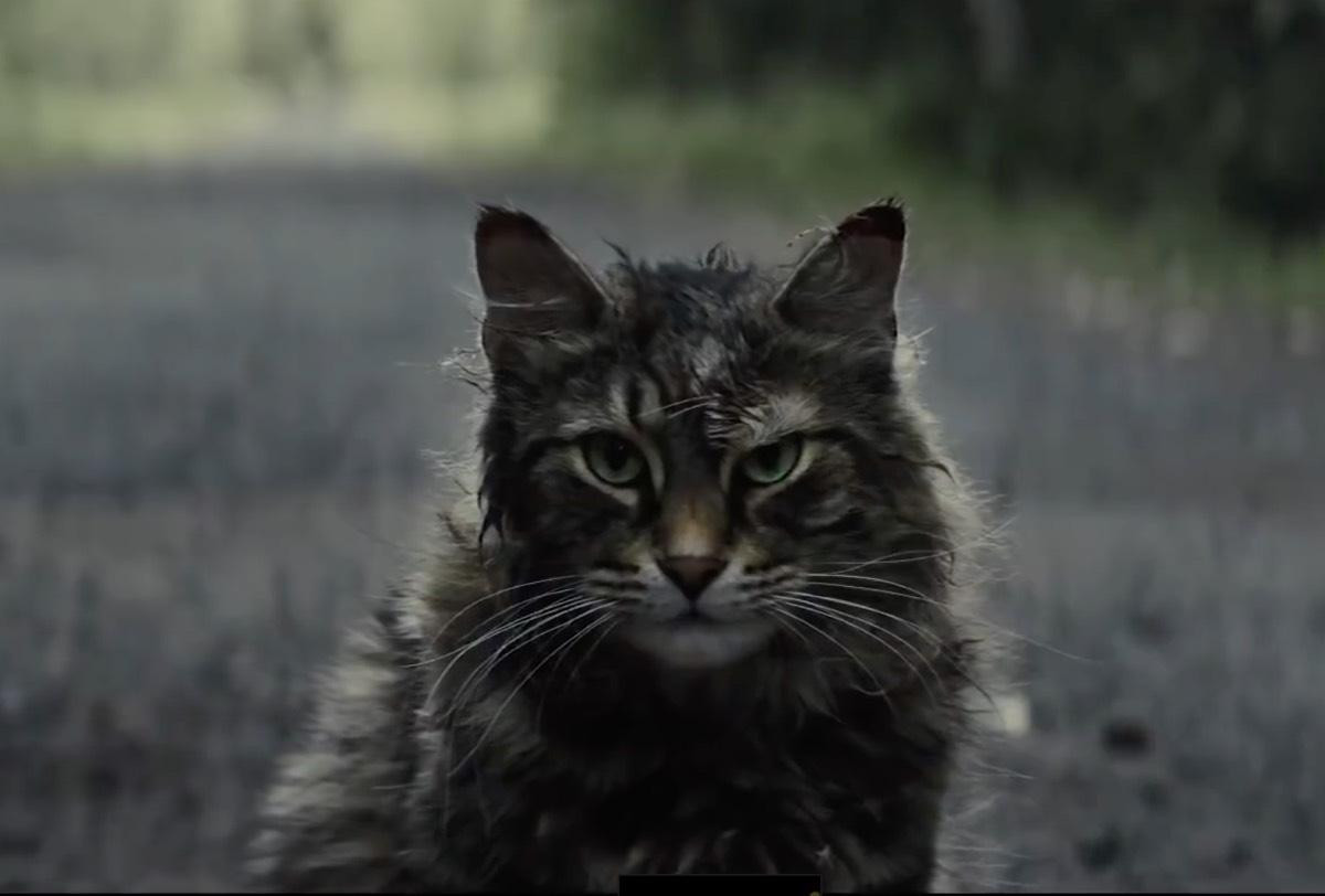 Phim chuyển thể từ tiểu thuyết kinh dị 'Pet Sematary' của Stephen King tung trailer ám ảnh về 'nghĩa địa ma quái' Ảnh 5