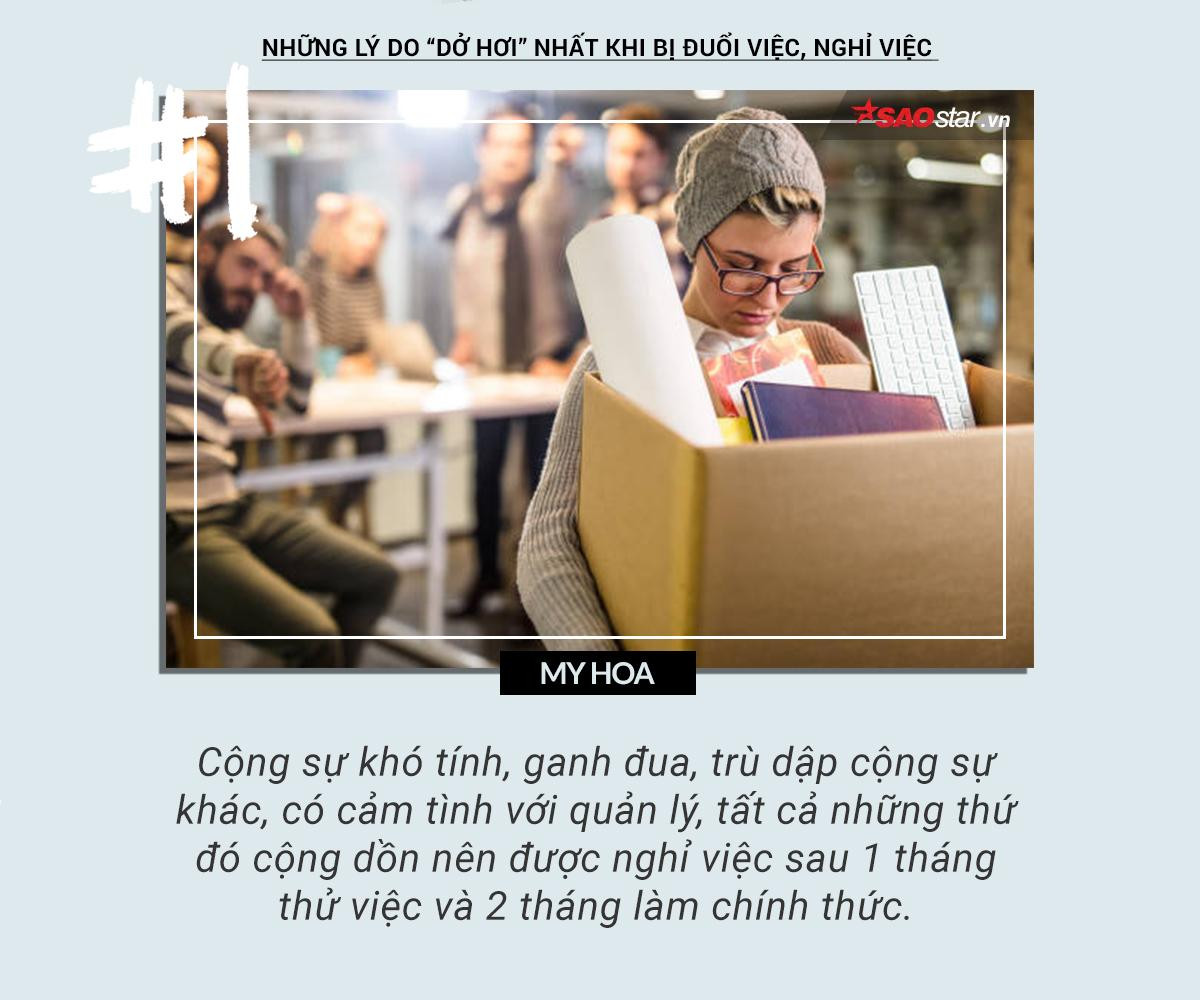 Cười té ghế với những lý do thôi việc thật… không thể tin được Ảnh 1