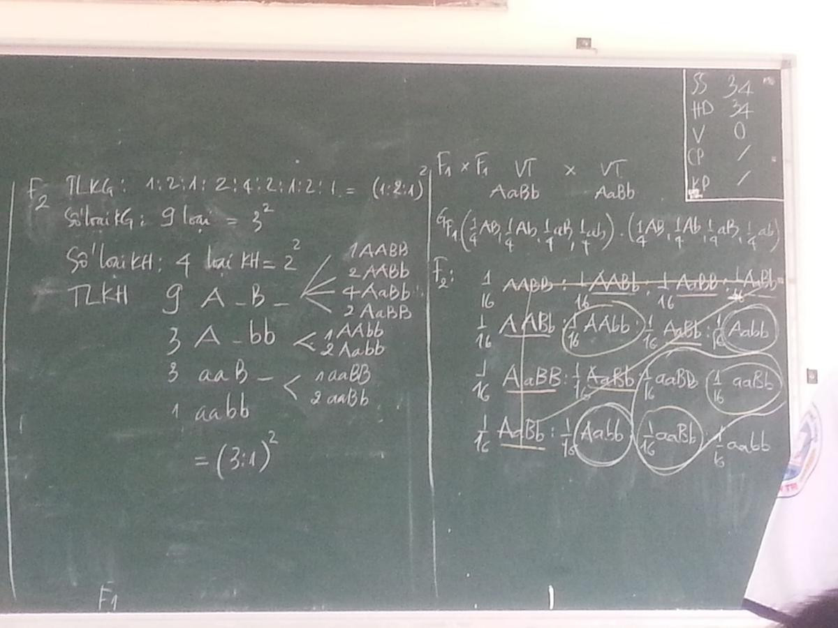 Không ai nghĩ môn Sinh khó đến thế cho đến khi nhìn lại loạt công thức tính toán di truyền gen kinh điển này Ảnh 3