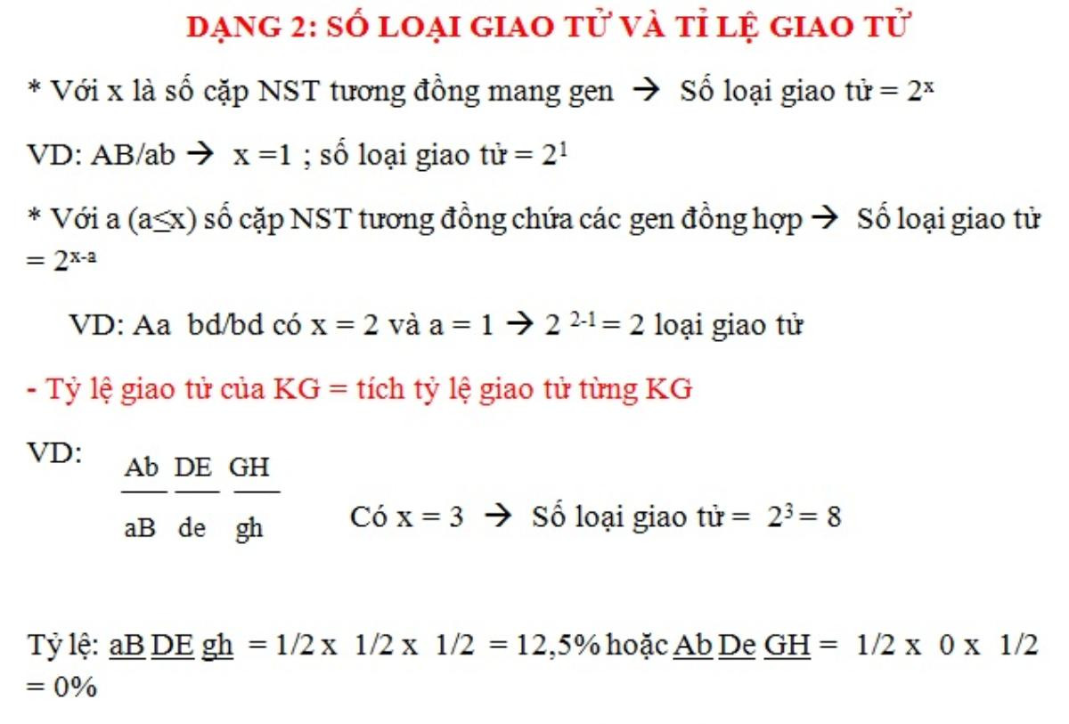 Không ai nghĩ môn Sinh khó đến thế cho đến khi nhìn lại loạt công thức tính toán di truyền gen kinh điển này Ảnh 7