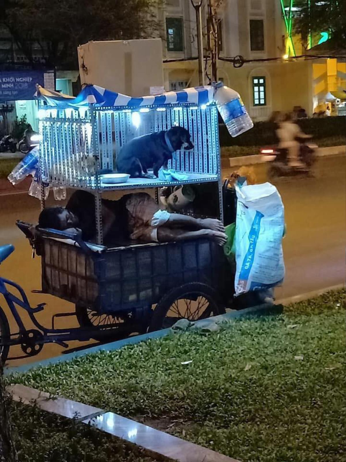 Nghẹn ngào hình ảnh 2 chú chó ngoan ngoãn bên cạnh chủ trên chiếc xe ve chai ấm áp tình thương sau những giờ mưu sinh vất vả Ảnh 2