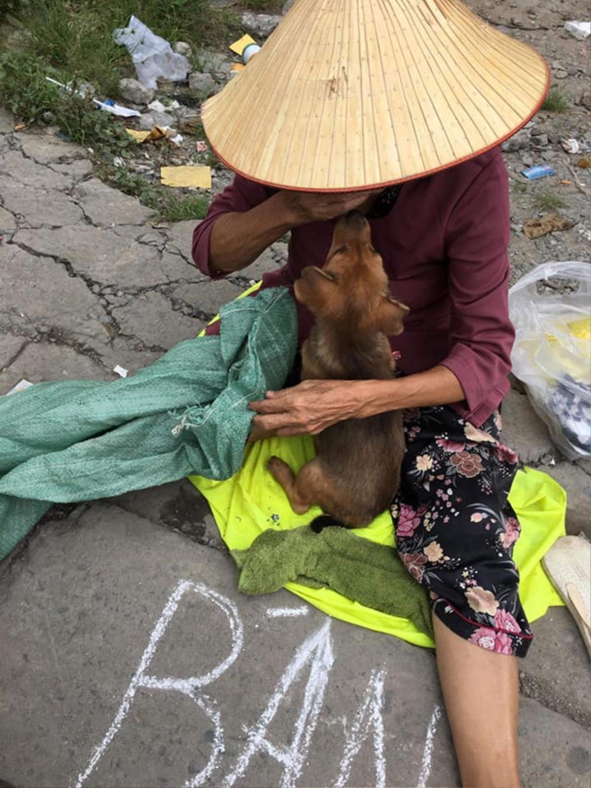 Góc khuất phía sau hình ảnh 'bà lão hôn tạm biệt cậu Vàng trước khi bán' gây sốt cộng đồng mạng Ảnh 1