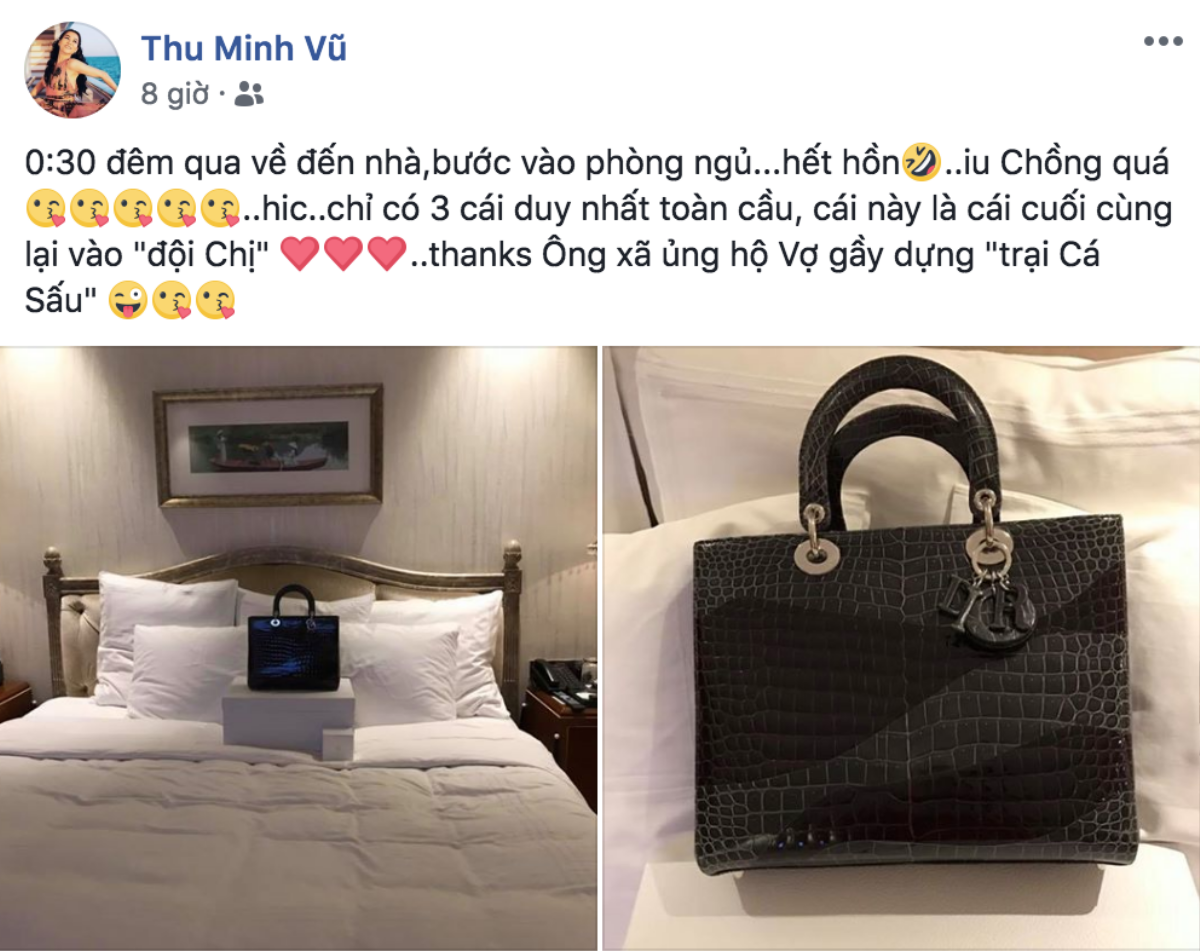 Cưng vợ như chồng Thu Minh, 'săn' bằng được túi cá sấu hàng hiếm để tặng vợ lúc nửa đêm Ảnh 3