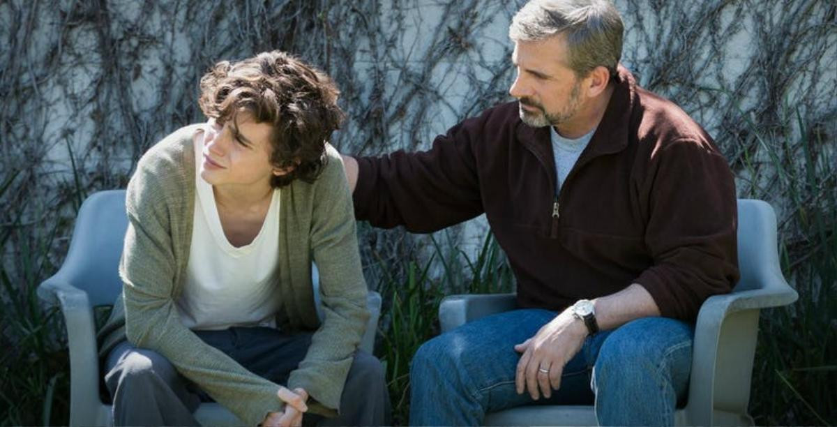 ‘Beautiful Boy’: Chalamet và Carell tỏa sáng trong câu chuyện của những kẻ nghiện ma túy Ảnh 1