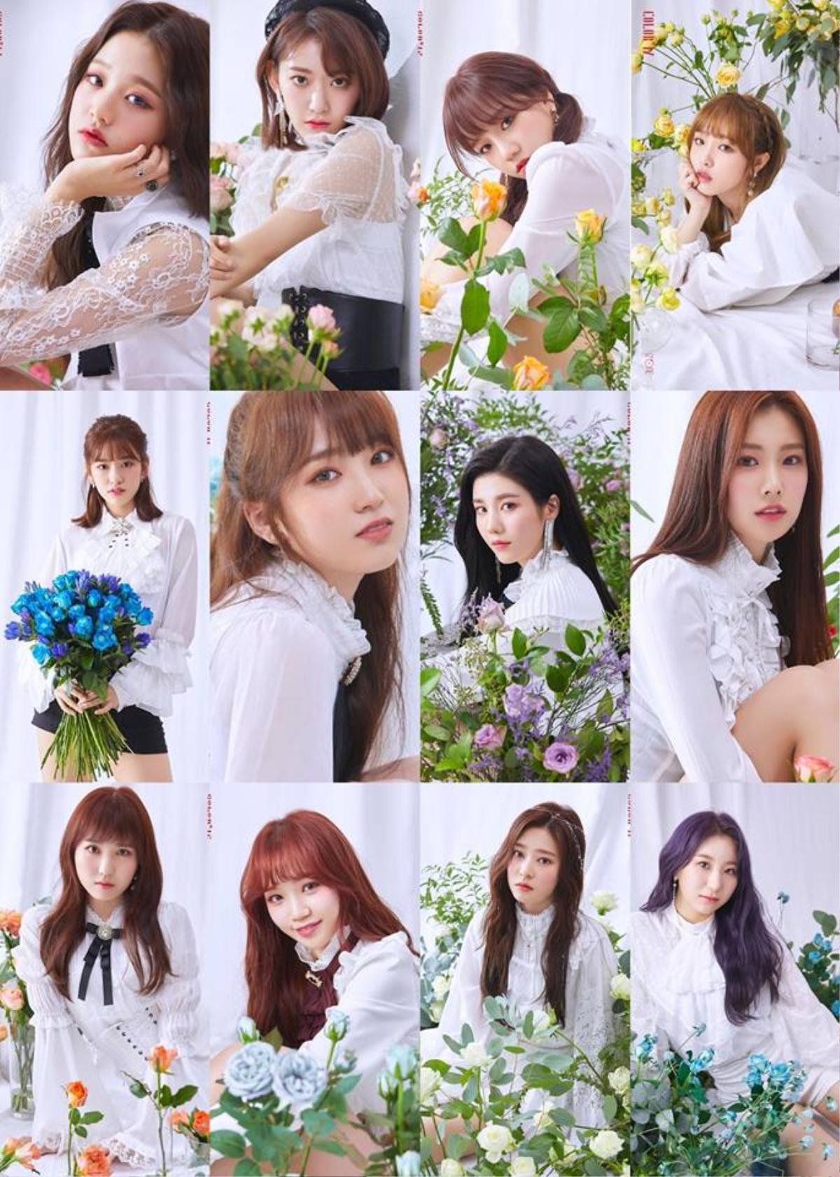 Trước thềm IZ*ONE debut, 'center quốc dân' Wonyoung và Yena xác nhận tham gia show Hello Counselor! Ảnh 7