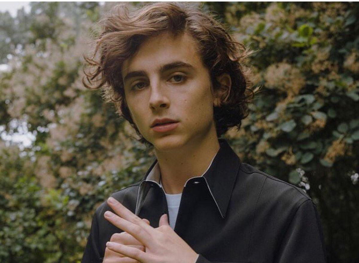 Không còn vẻ đẹp lãng tử, Timothée Chalamet lột xác thành con nghiện trong bộ phim 'Beautiful Boy' với thông điệp sâu sắc Ảnh 6