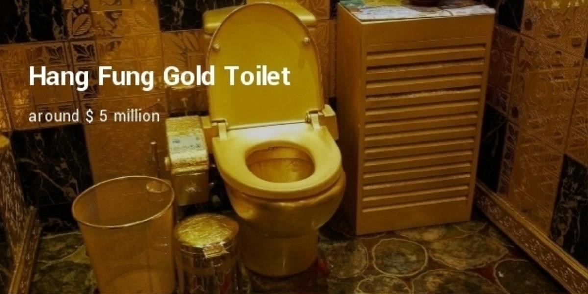 5 toilet đắt giá nhất hành tinh, giá trị của chiếc số 1 sẽ khiến bạn không tin vào mắt mình Ảnh 4