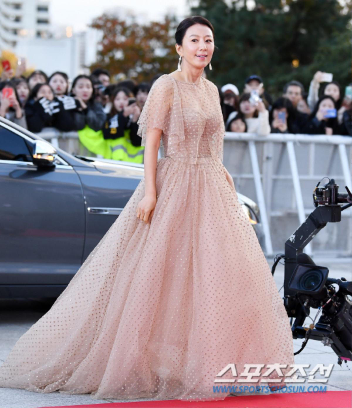 Seohyun, Kim Ah Joong khoe sắc cùng Kim Nam Joo và Kim Hee Ae trên thảm đỏ 'The Seoul Awards 2018' Ảnh 12