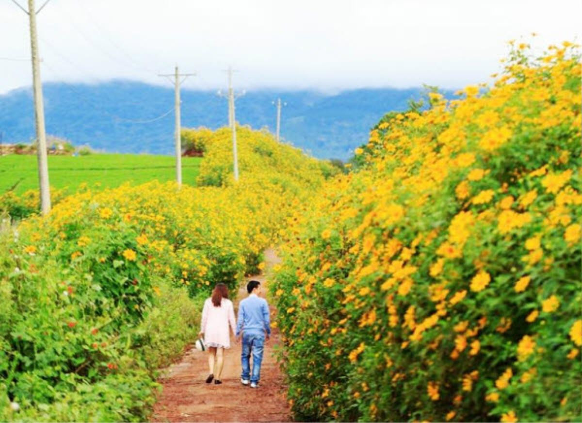 Chàng trai đau đầu vì bạn gái đòi đi du lịch 'chung phòng, chung giường' với bạn khác giới, dân mạng thẳng thắn 'bỏ ngay kẻo nuôi con tu hú' Ảnh 1