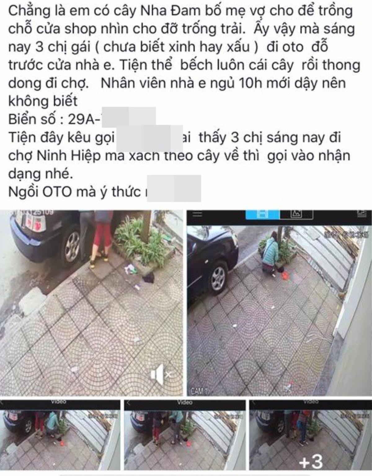 Chủ nhà tố 3 phụ nữ đi ô tô dừng trước cửa bê luôn chậu cây nha đam rồi thong dong đi chợ gây tranh cãi cộng đồng mạng Ảnh 1