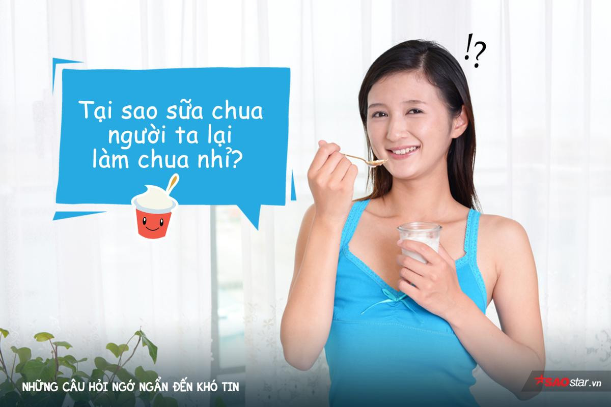 Tổng tập những câu nói 'ngớ ngẩn nhất quả đất' nghe xong ai cũng phải cười lăn lộn Ảnh 8