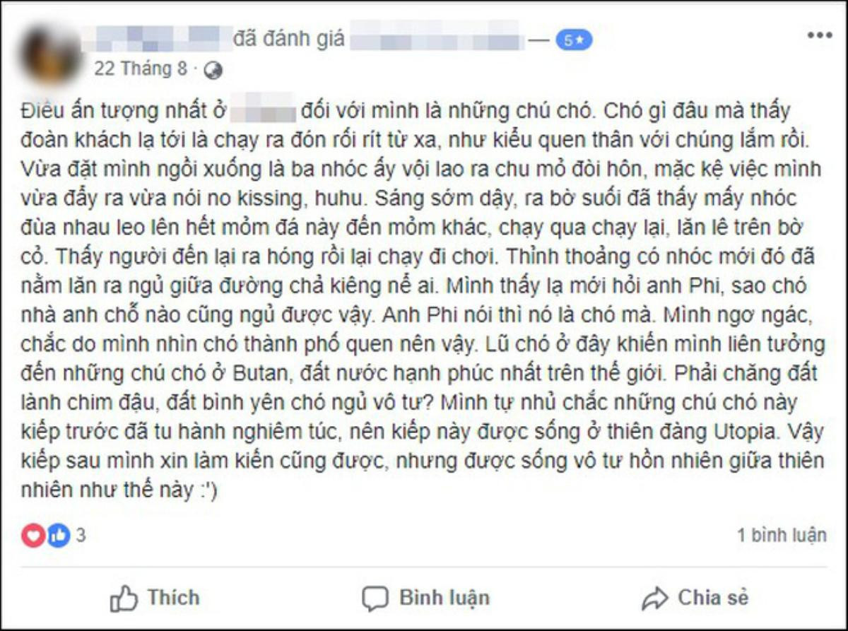 Khách Tây 'bùng' tiền phòng ở Sapa vì 'nhiều muỗi và chó sủa', chủ homestay bức xúc: Người đàng hoàng sẽ đối mặt giải quyết chứ không bỏ đi như vậy! Ảnh 13