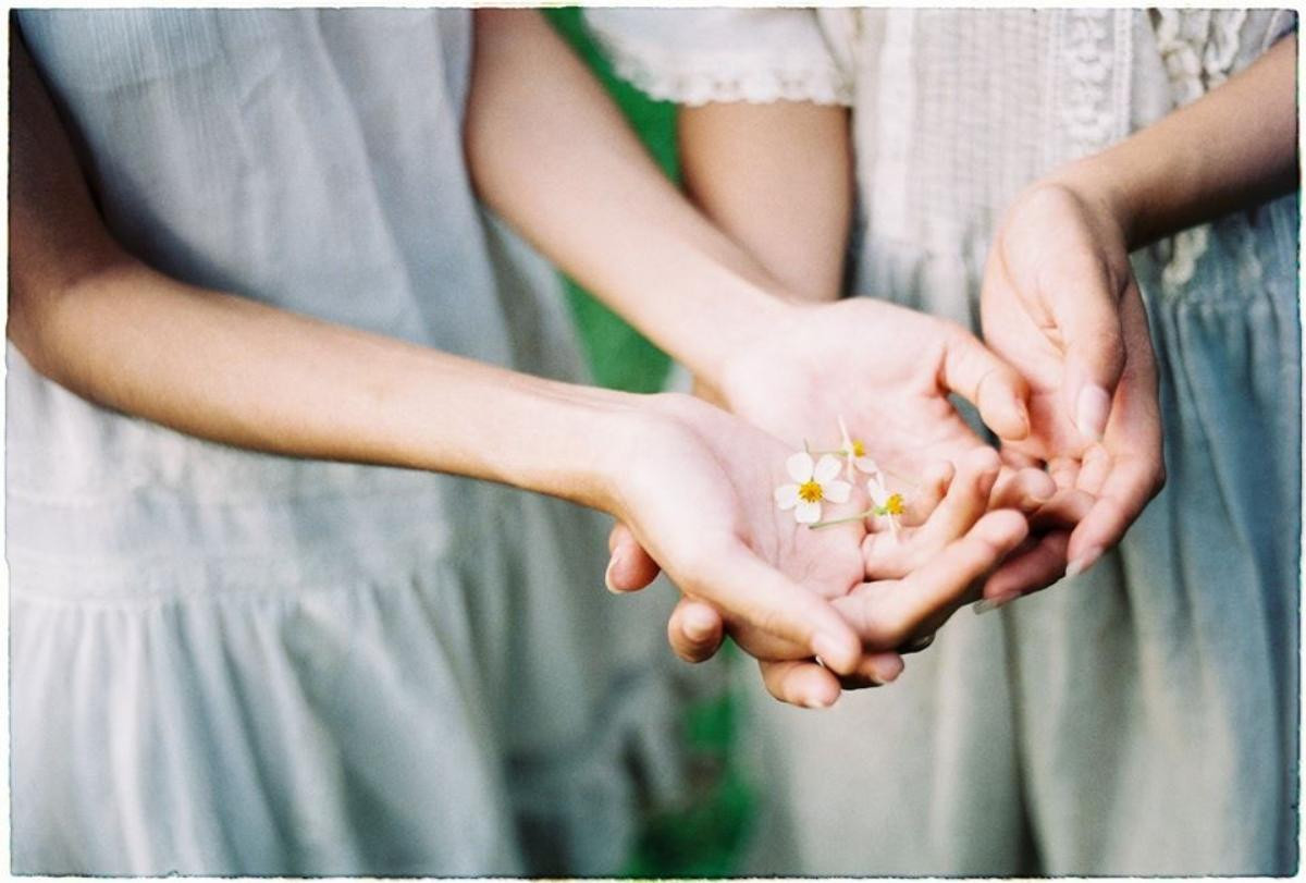 'Daisies on the rock' bộ ảnh minh chứng cho chuyện tình bách hợp lãng mạn Ảnh 3