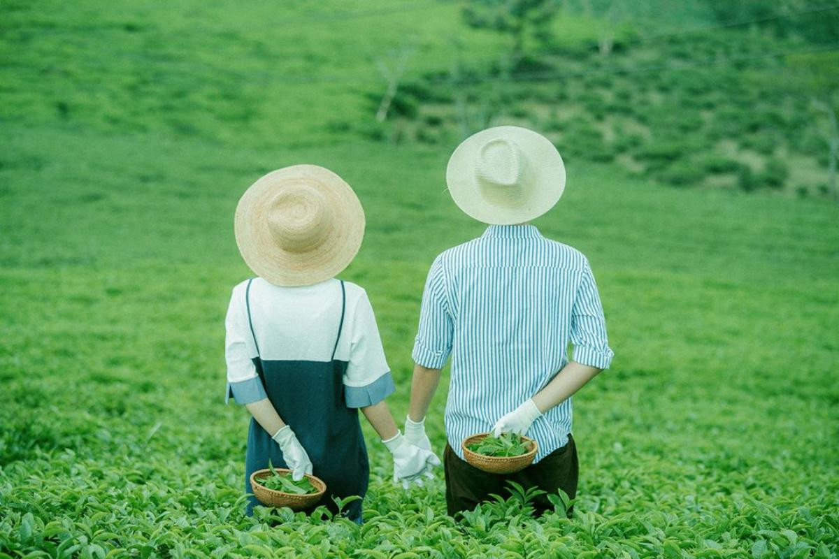 Bất chấp 'lời nguyền chia tay', những địa điểm này ở Đà Lạt vẫn khiến các cặp đôi muốn nắm tay nhau đến một lần Ảnh 14