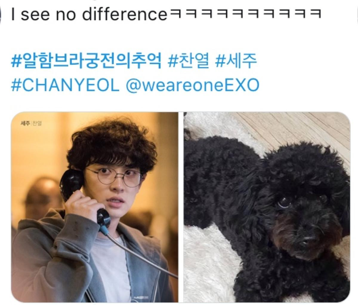 Fan, đồng nghiệp nói về tạo hình của Chanyeol (EXO) trong 'Memories of the Alhambra' Ảnh 6