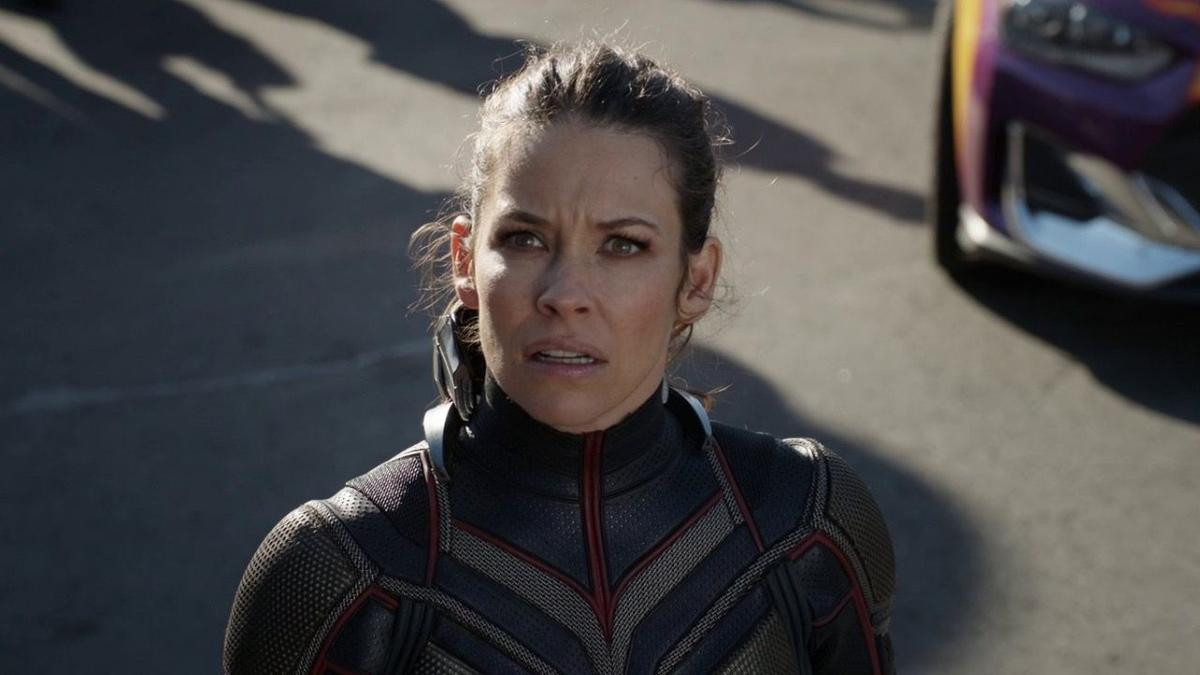 Nữ diễn viên Evangeline Lilly gửi tâm thư đến huyền thoại Stan Lee Ảnh 5