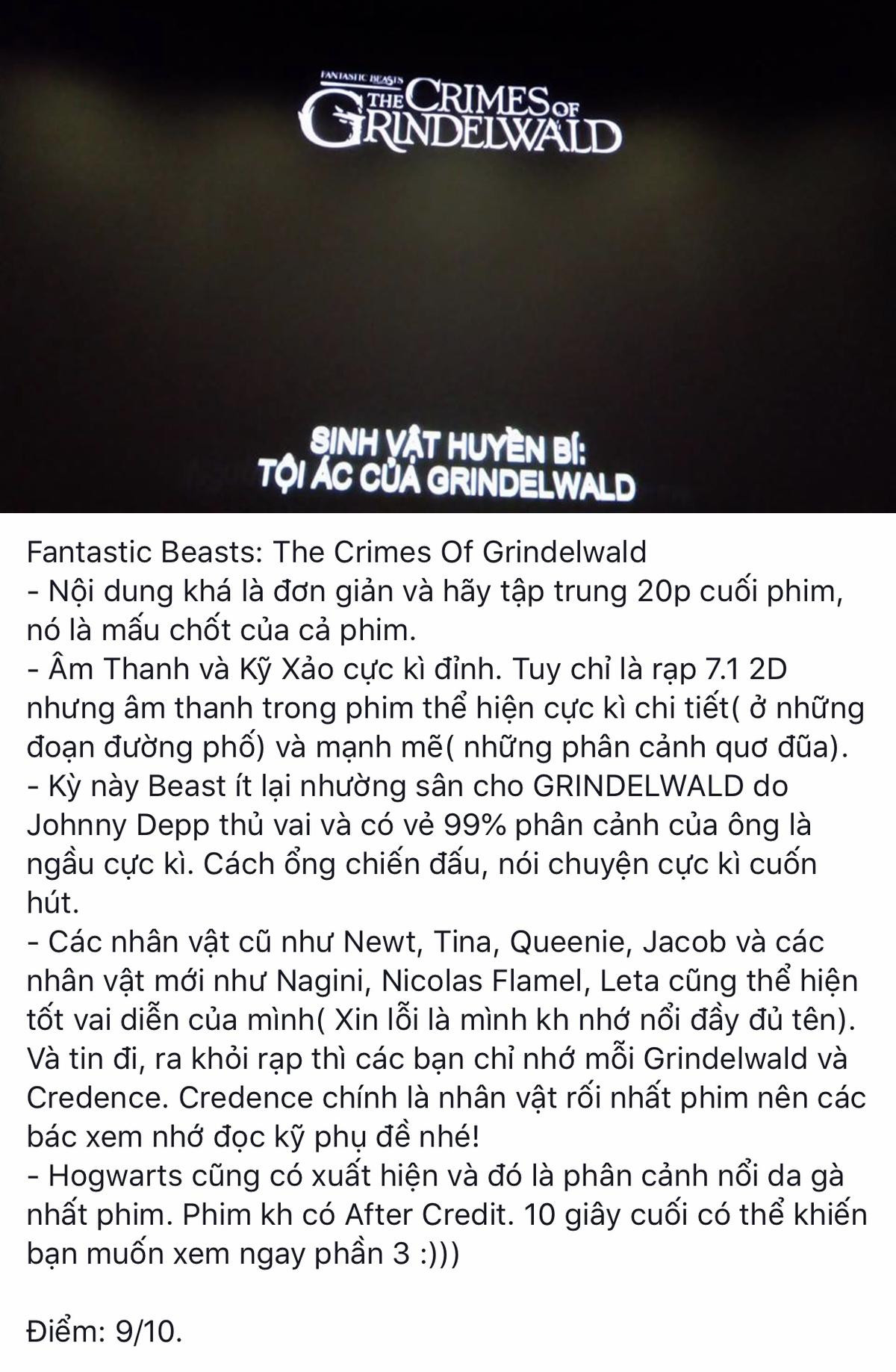 Khán giả Việt tranh cãi nảy lửa về phim ‘Fantastic Beasts 2’ Ảnh 13