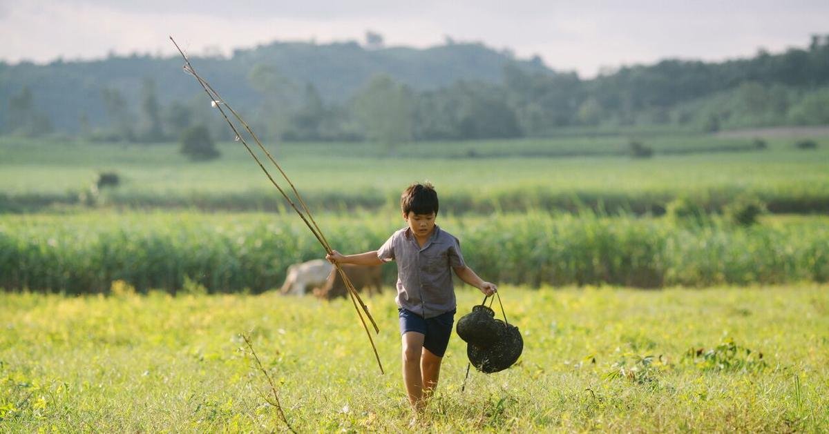 Câu chuyện thanh xuân vườn trường và cánh đồng hoa thạch thảo mới mẻ giữa làng phim Việt Nam mùa cuối năm Ảnh 4